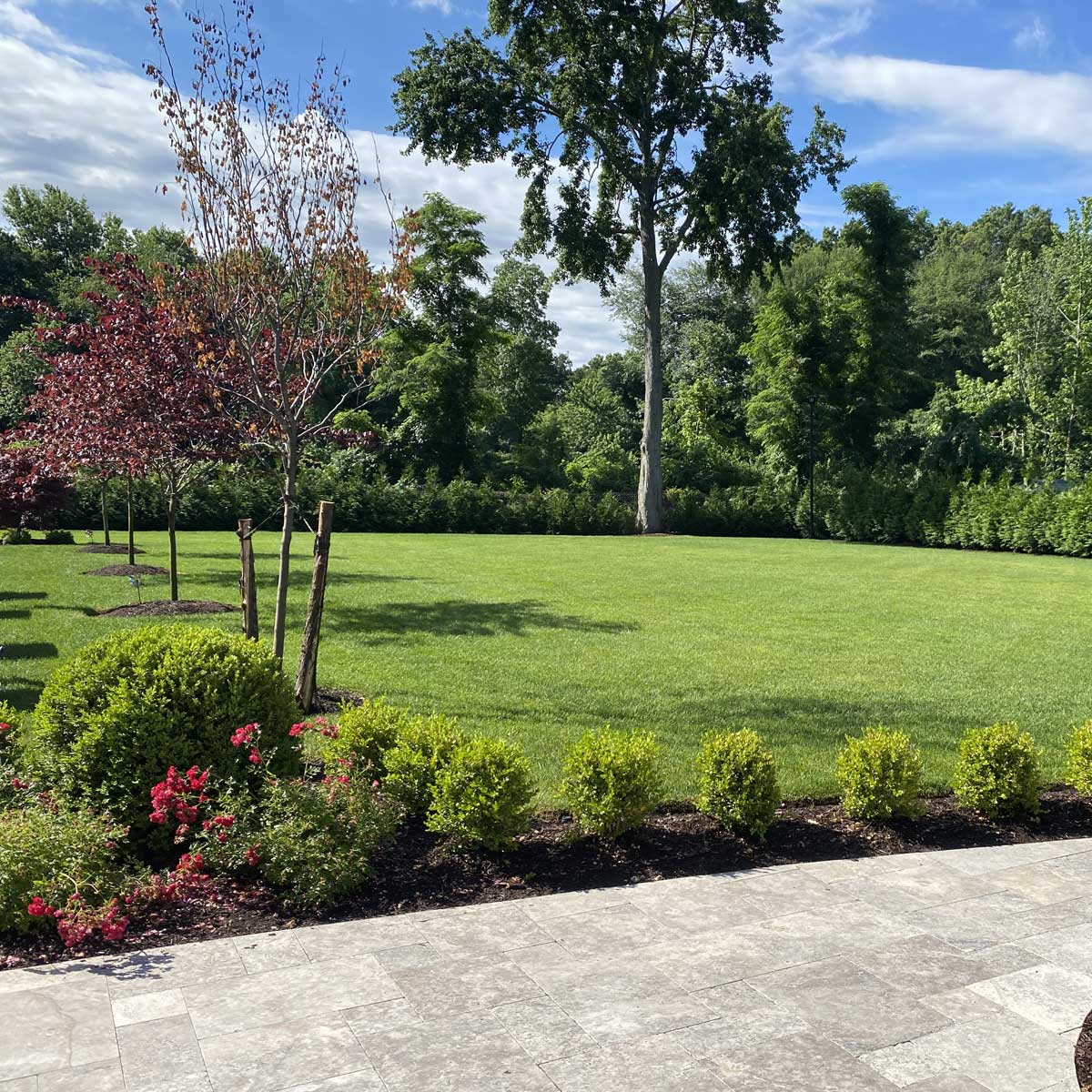 lawn garden path tree flowers grass turf