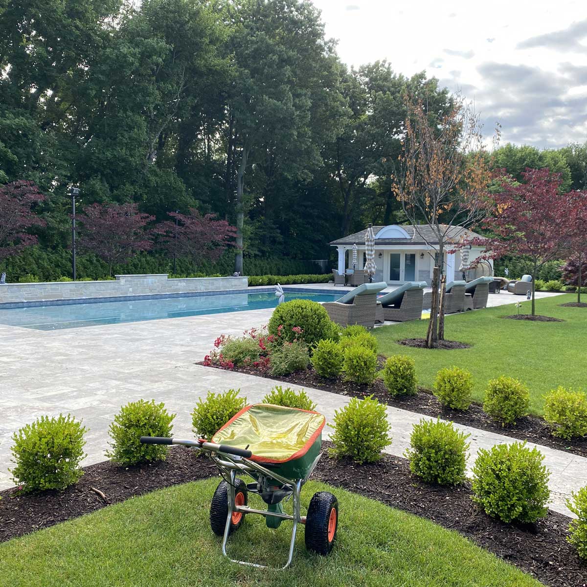 swimming pool lawn turf garden house