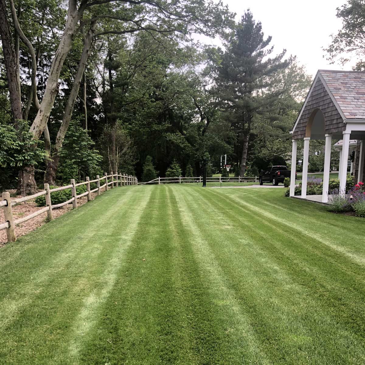 grass house lawn trees