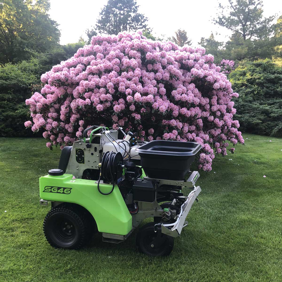 lawn flowers machine grass turf