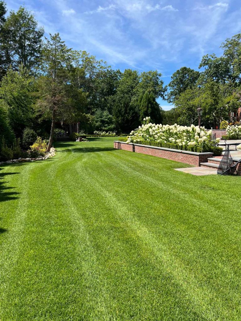 garden lawn turf flowers trees